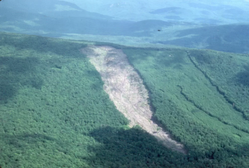 Austrheim et al Hubbardbrook karbonlagring mtime20190815180449