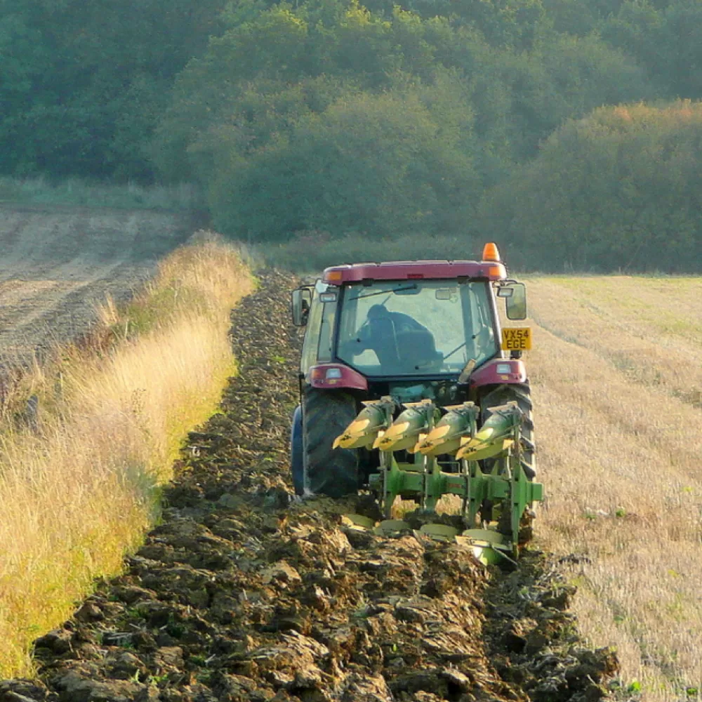 Austrheim et al foto Jonathan Billinger intensivt landbruk mtime20190815182108