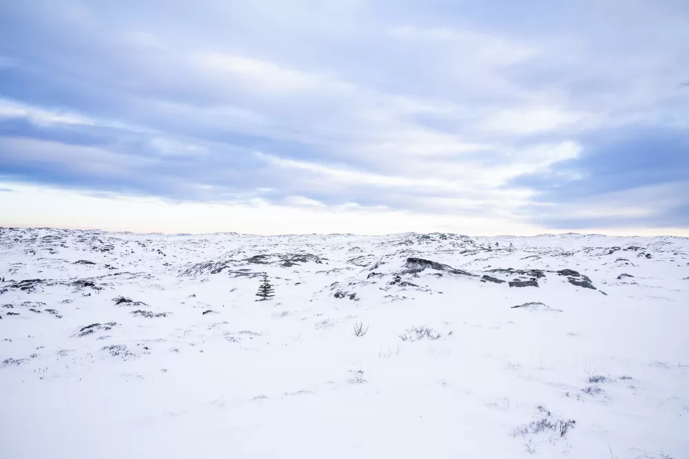 Hans Anton Gronskag Froya landskap Foto Jan Egil Eilertsen mtime20190331232015