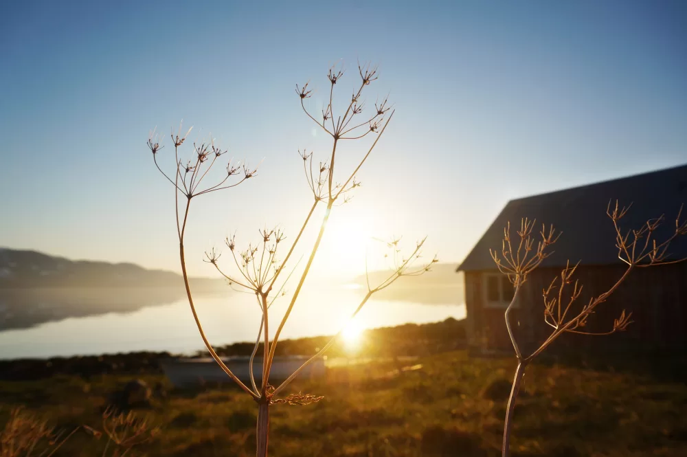 Repparfjorden Natur og Ungdom Helene Lind Jensen mtime20190222134548