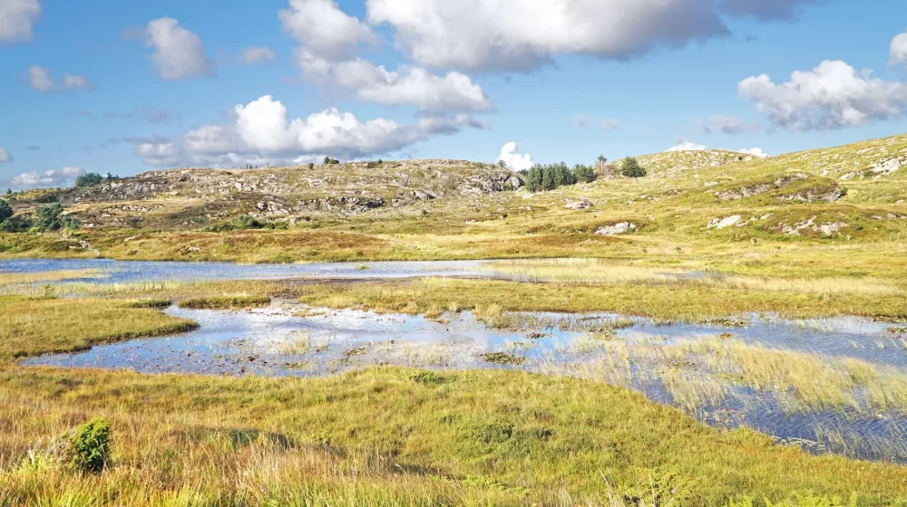 Anne Breistein Killingtjorn Arnt Kvinnesland mtime20190220082525